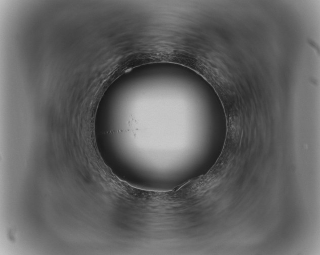 X0000095961057200801111357