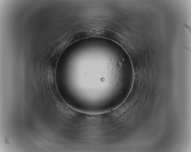 X0000095961058200801111357