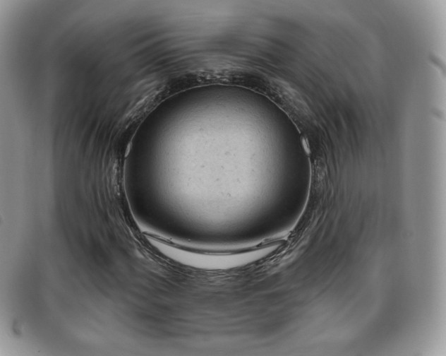 X0000095961060200801111357