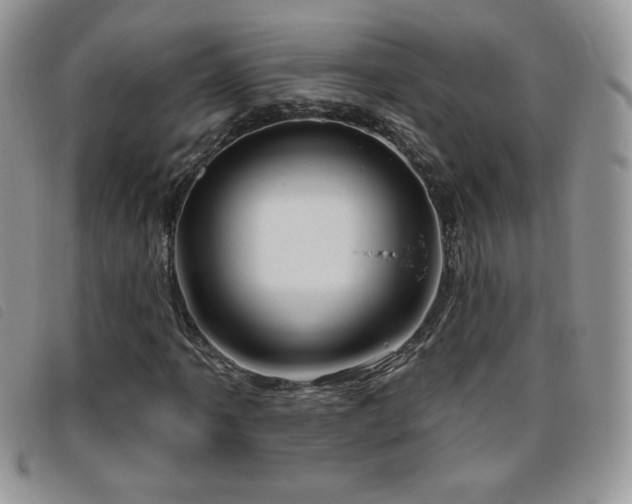 X0000095961061200801111357