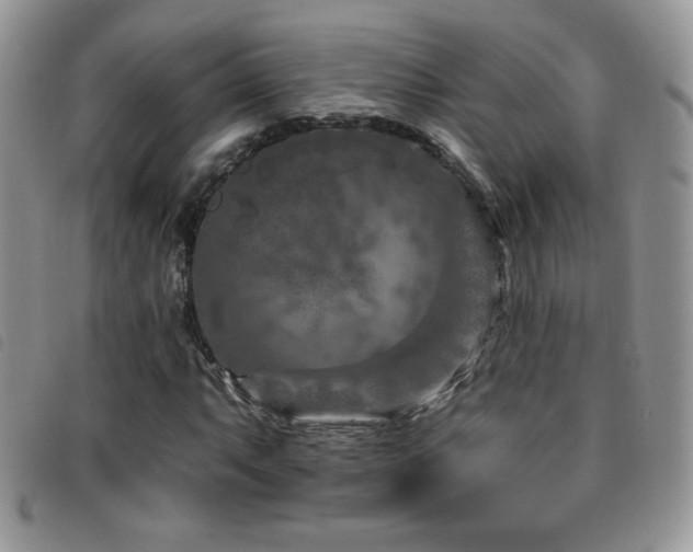 X0000095961063200801111357