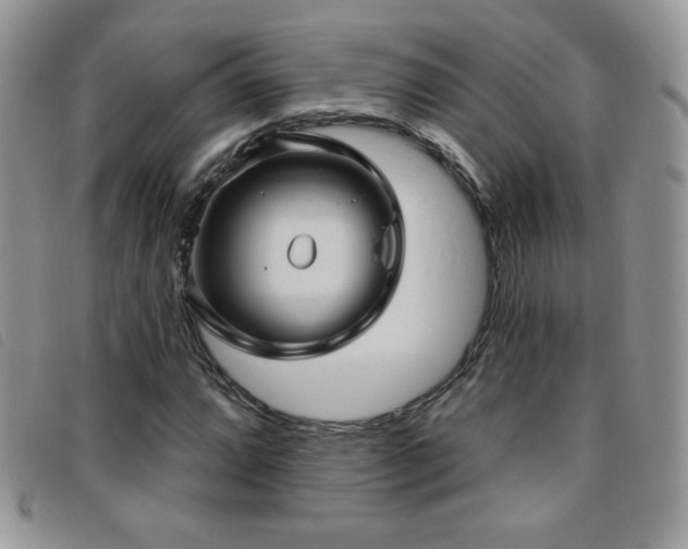 X0000095961064200801111357