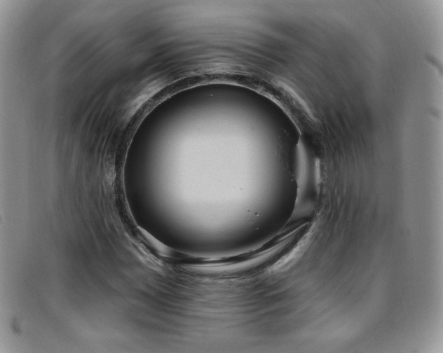 X0000095961065200801111357