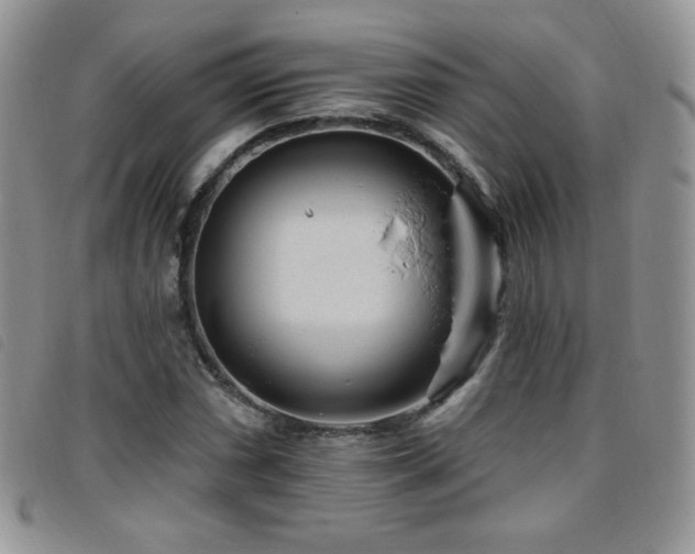 X0000095961066200801111357