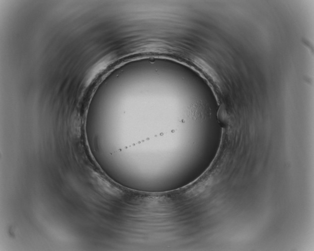 X0000095961067200801111357
