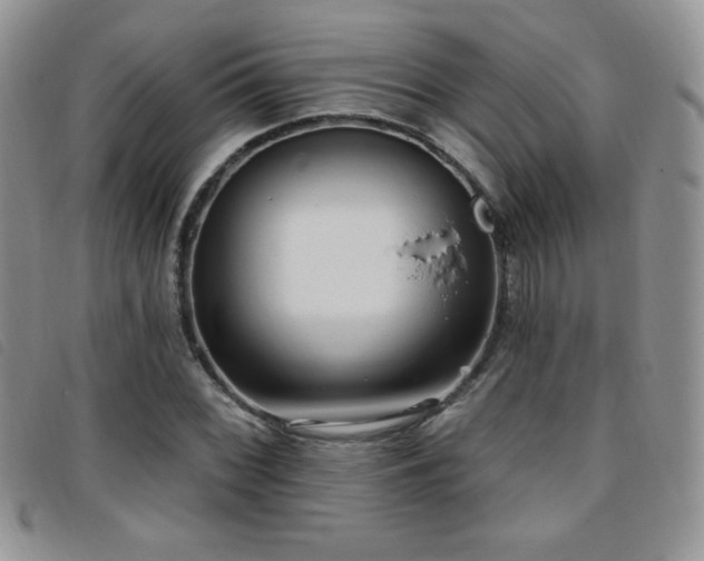 X0000095961068200801111357