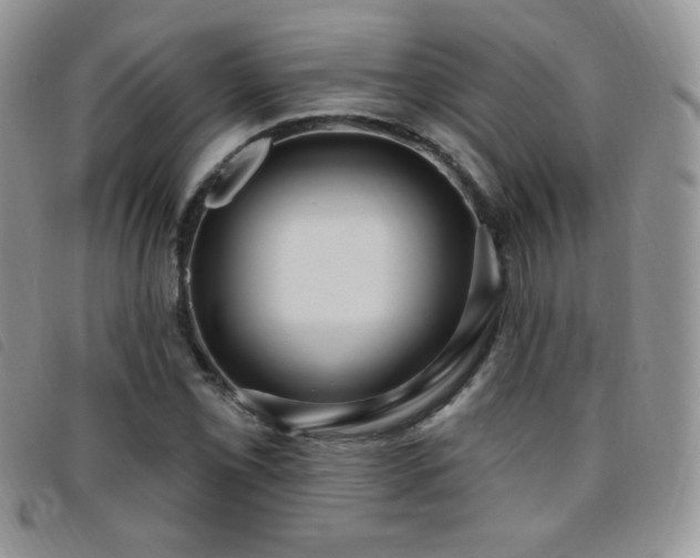 X0000095961069200801111357
