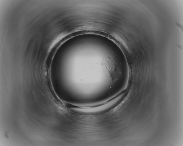 X0000095961070200801111357