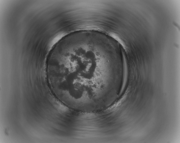 X0000095961071200801111357
