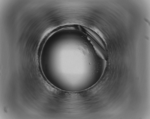X0000095961072200801111357