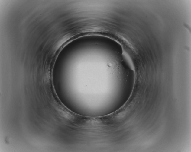 X0000095961073200801111357