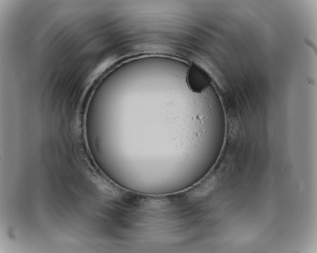 X0000095961074200801111357