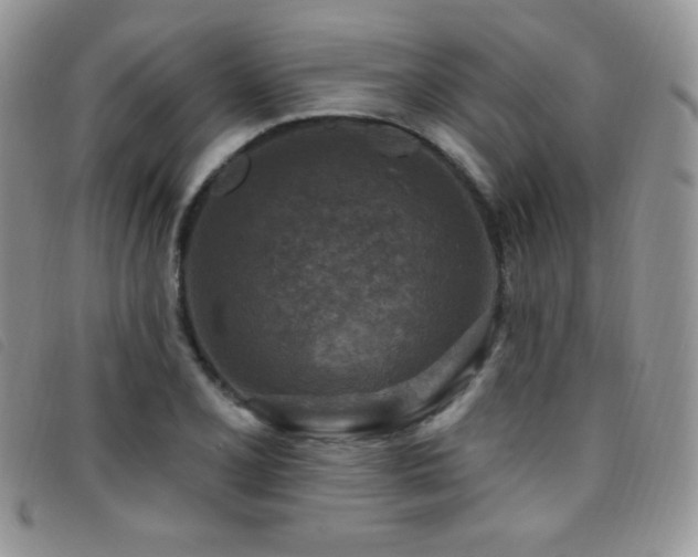 X0000095961077200801111357