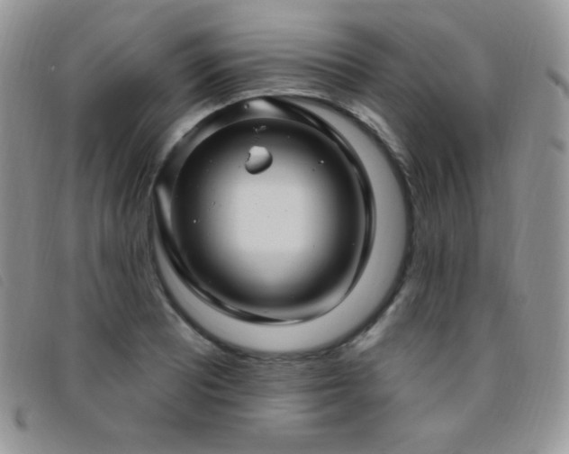 X0000095961081200801111357
