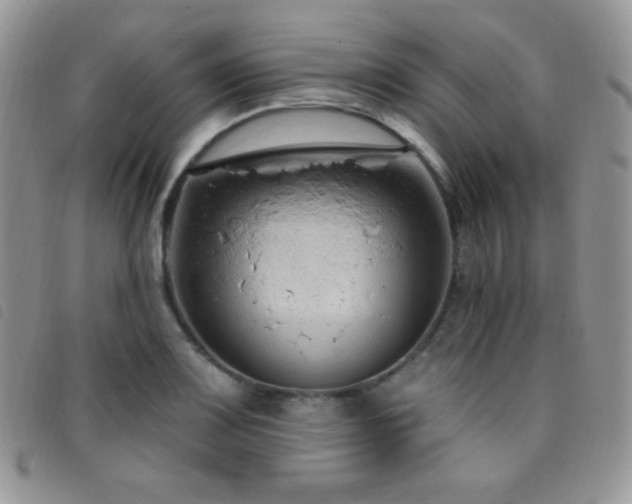 X0000095961083200801111357