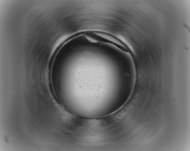 X0000095961085200801111357