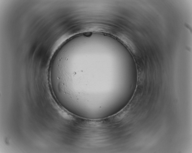 X0000095961086200801111357
