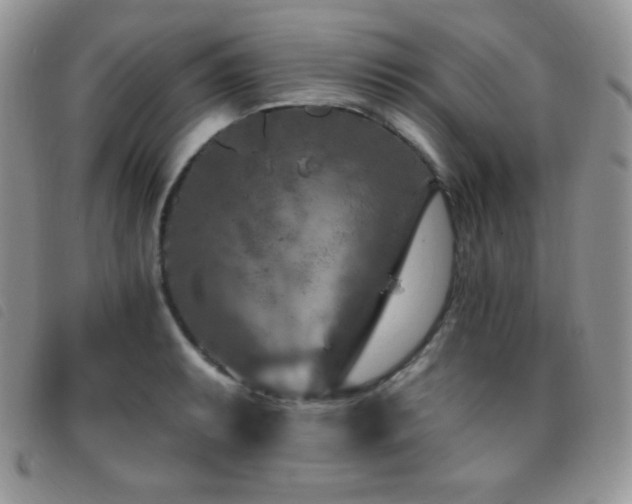X0000095961087200801111357