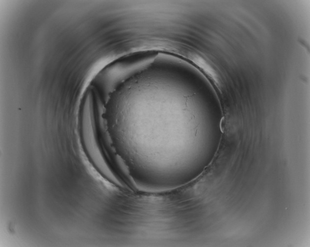 X0000095961088200801111357