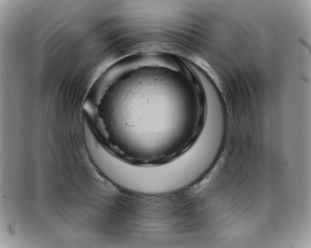 X0000095961089200801111357