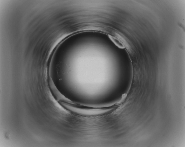 X0000095961092200801111357