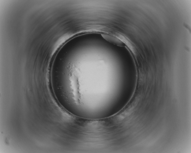 X0000095961093200801111357