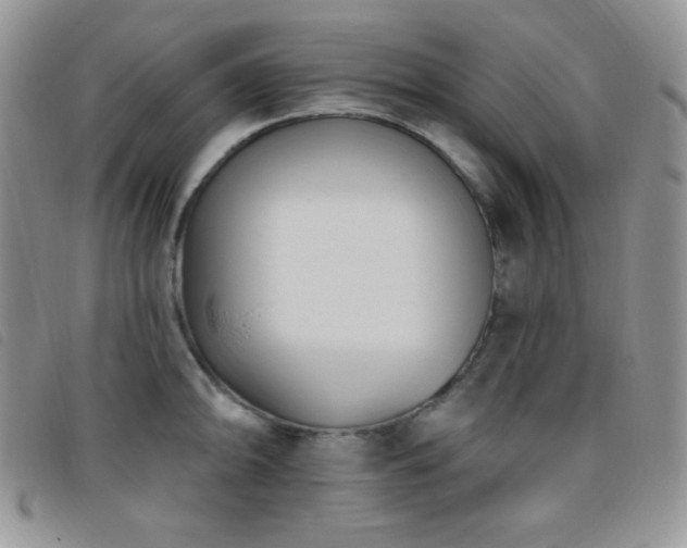 X0000095961094200801111357