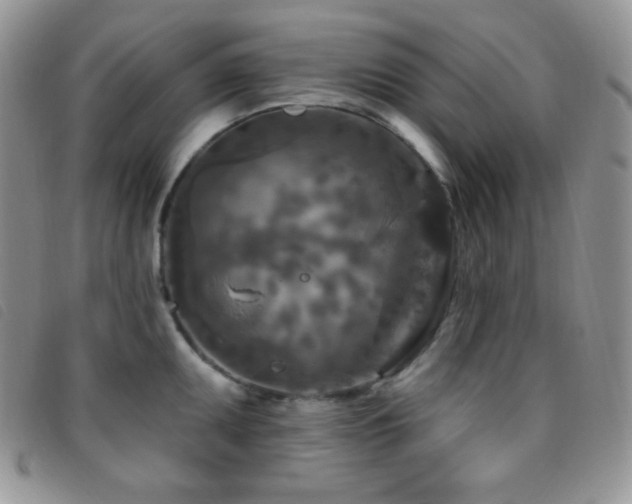 X0000095961095200801111357