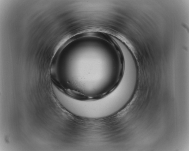 X0000095961097200801111357