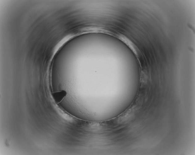 X0000095961098200801111357