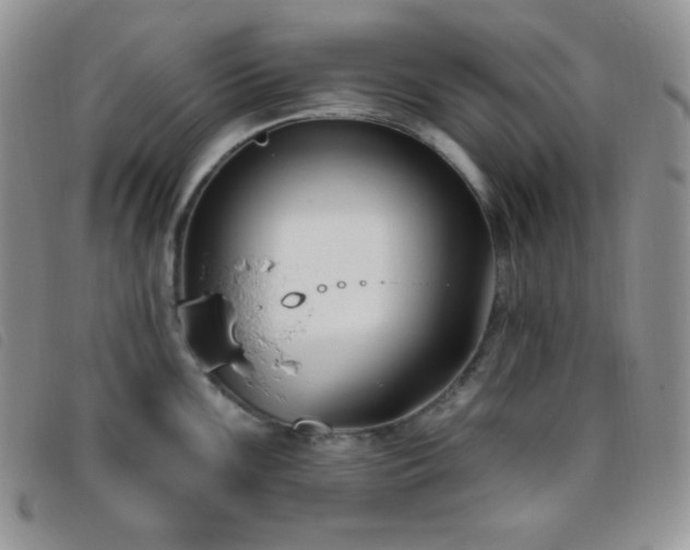 X0000095961099200801111356