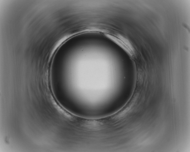 X0000095961100200801111356
