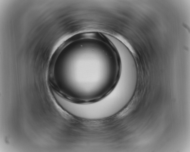 X0000095961101200801111356