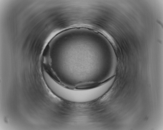 X0000095961102200801111356