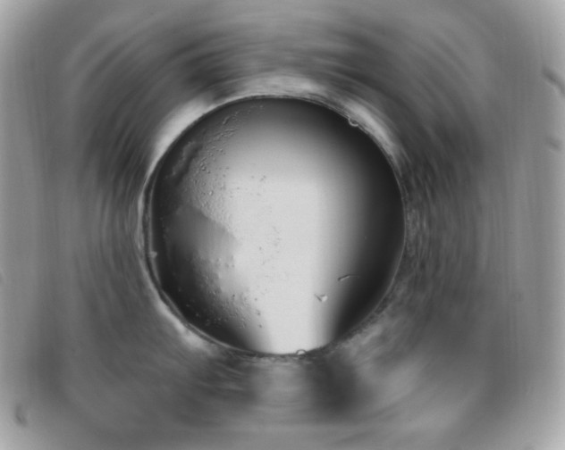 X0000095961103200801111356