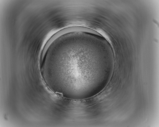 X0000095961104200801111356
