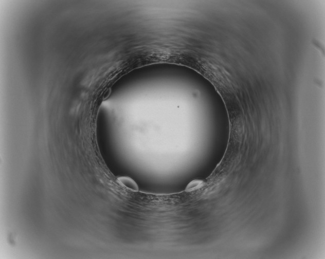 X0000095961105200801111356