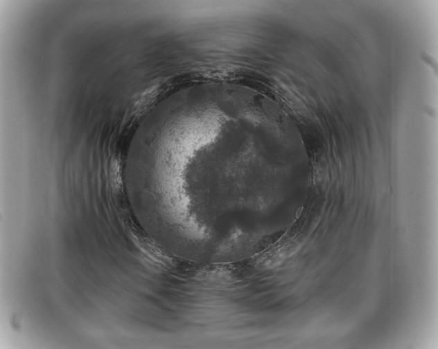 X0000095961106200801111356