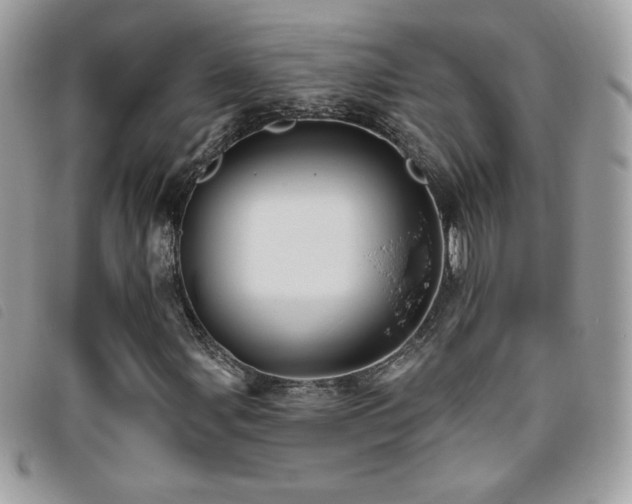 X0000095961107200801111356