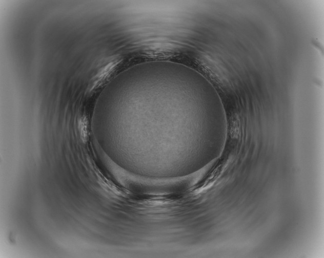 X0000095961108200801111356