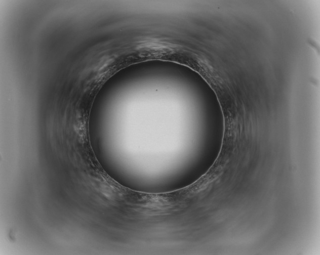 X0000095961109200801111356
