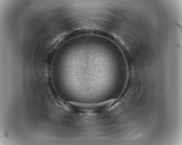 X0000095961110200801111356