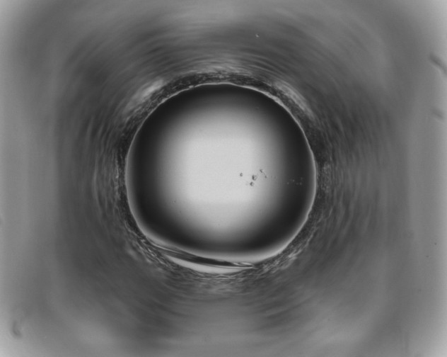 X0000095961111200801111356