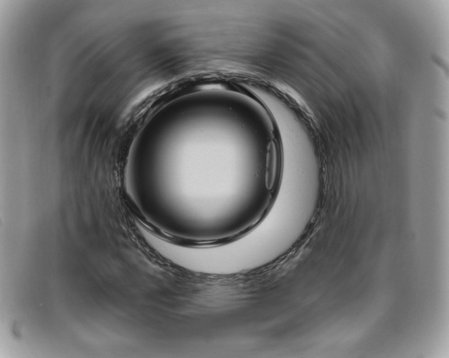 X0000095961112200801111356