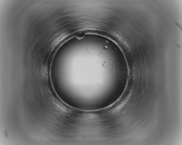X0000095961113200801111356