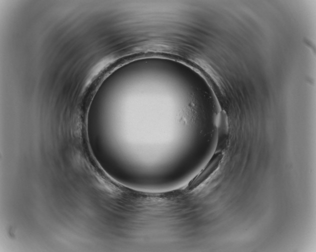 X0000095961115200801111356