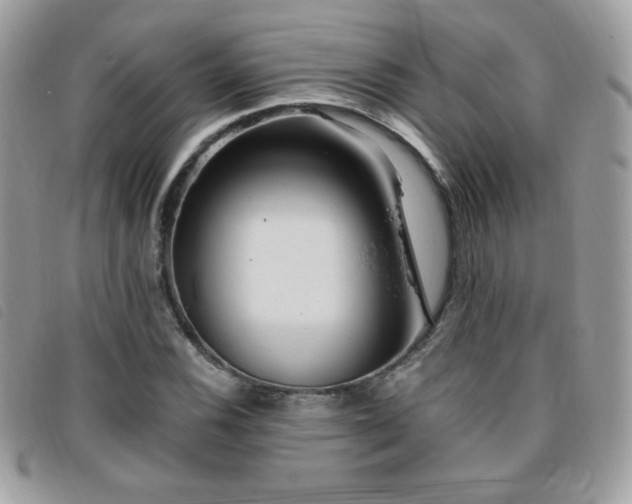 X0000095961116200801111356