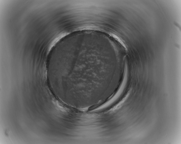 X0000095961117200801111356