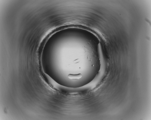 X0000095961118200801111356