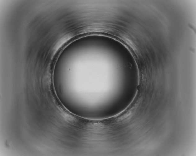 X0000095961119200801111356
